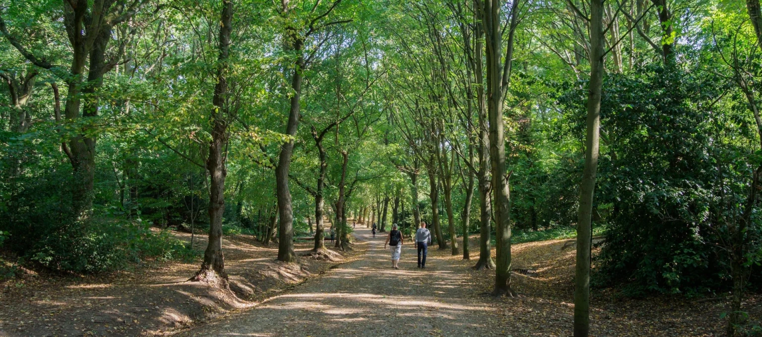 hampstead heath unsplash